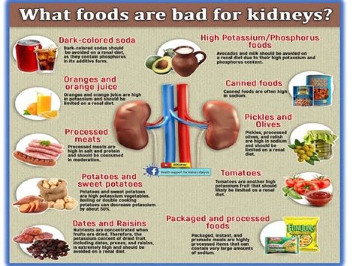 Are amino acids bad for kidneys?