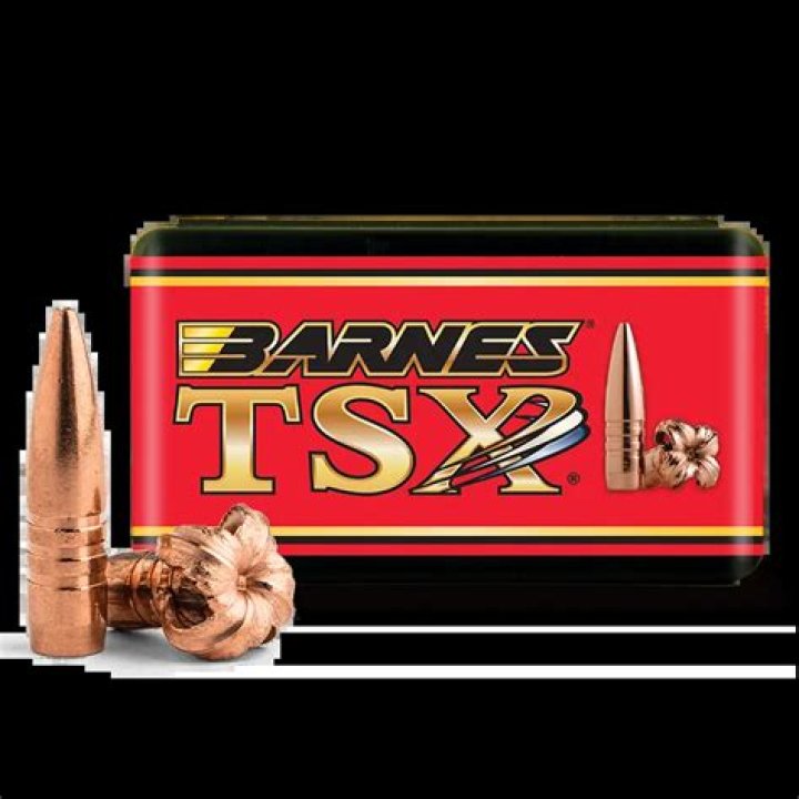 Are Barnes TSX bullets good for hunting?