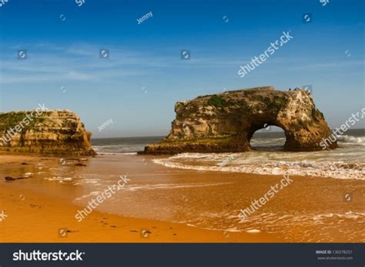 Are dogs allowed at Natural Bridges?