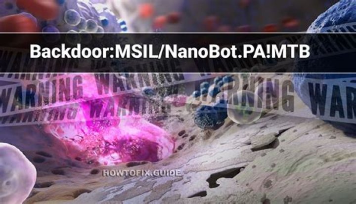 Backdoor.MSIL.NanoBot.aetl