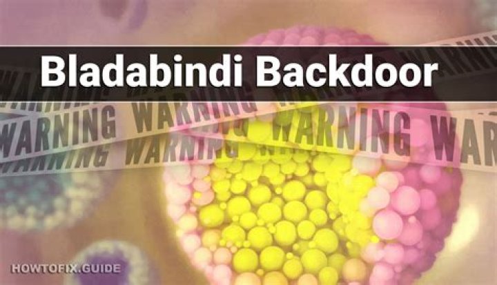 Bladabindi.Backdoor.Njrat.DDS