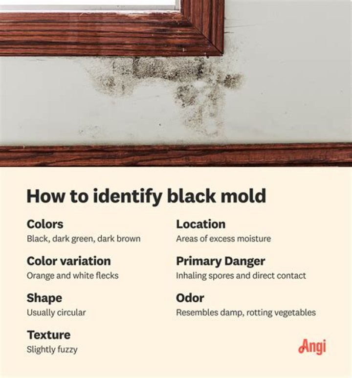 Can black mold look like dirt?