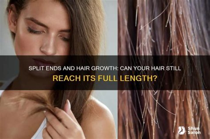 Can hair grow long with split ends?