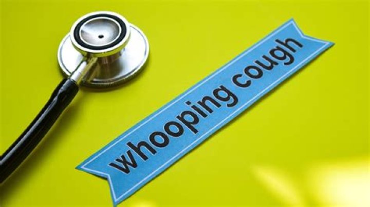 Can whooping cough live on surfaces?