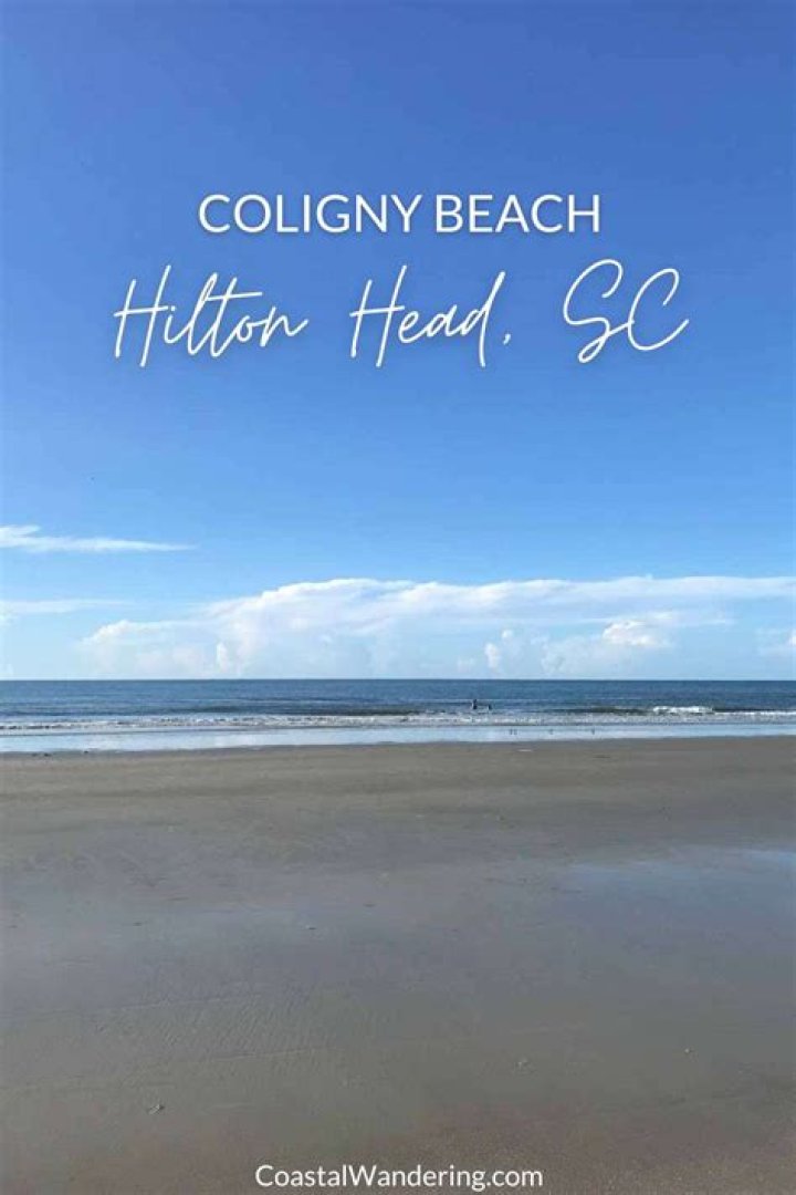 Can you fish from the beach on Hilton Head Island?