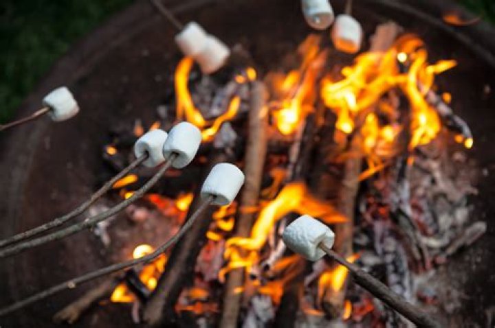 Can you roast marshmallows over pinon wood?