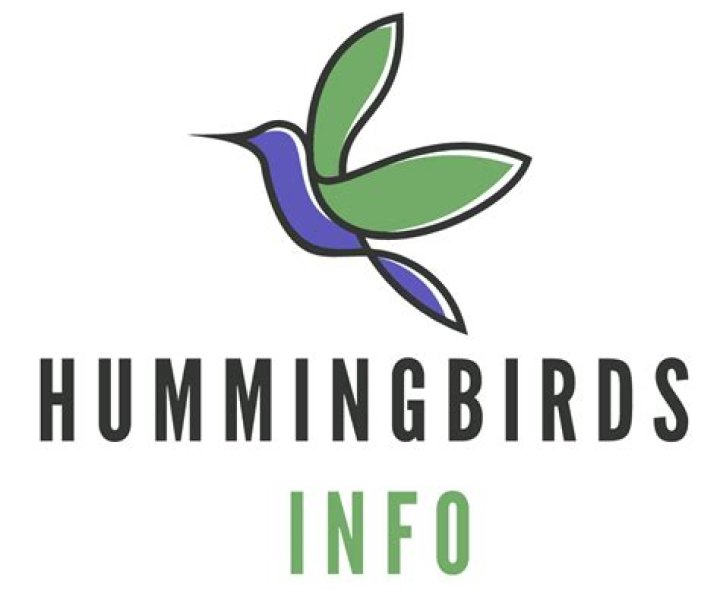 Do hummingbirds hibernate in the winter