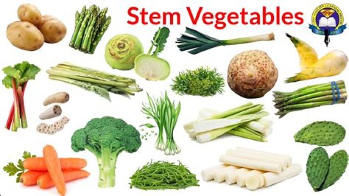 Do I need to cut stems of spinach?