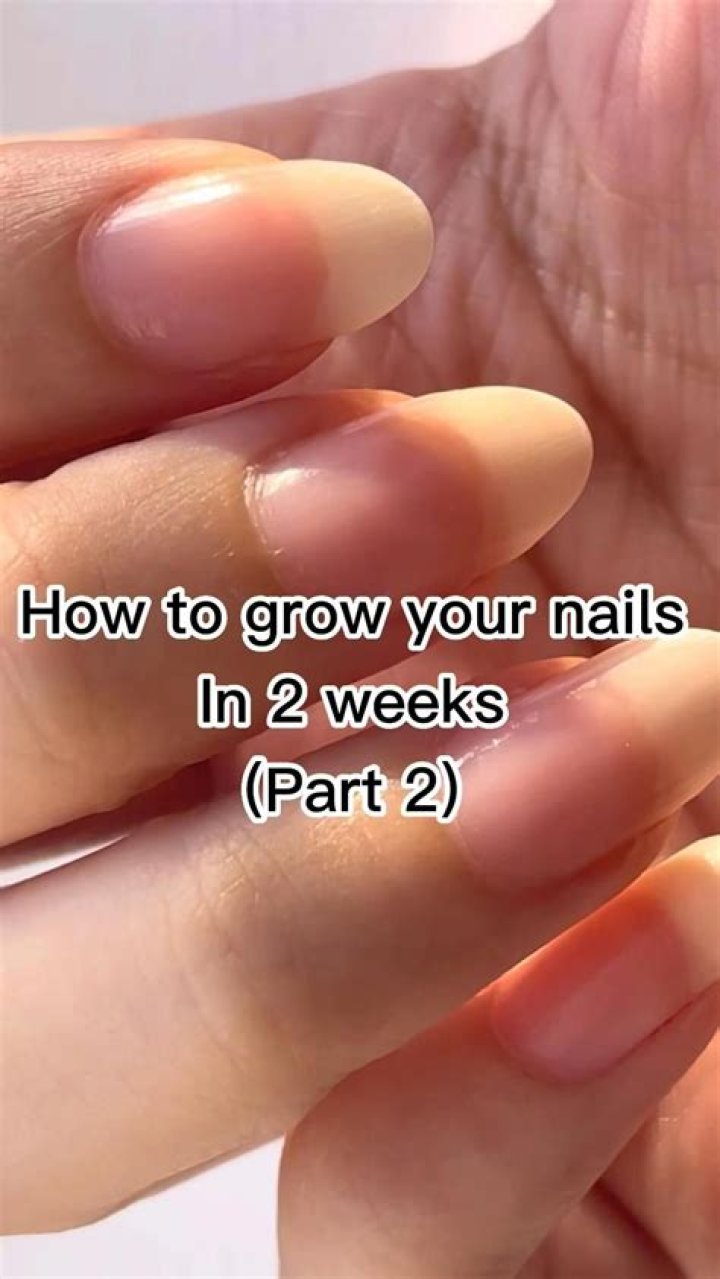 Do nails grow from the bottom or top?