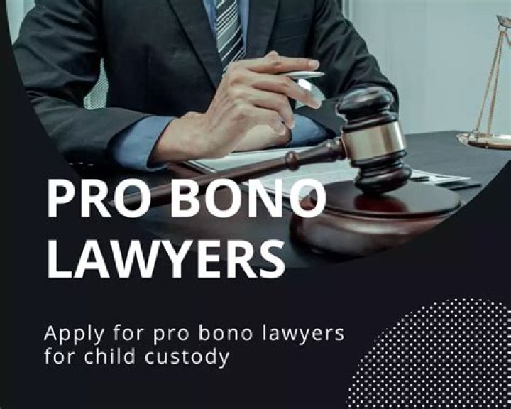 Do pro bono lawyers win cases?