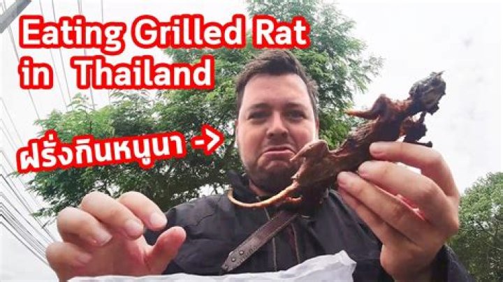 Do Thai people eat rat