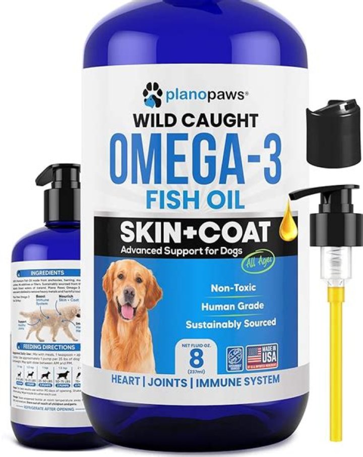 Do vets recommend fish oil for dogs?