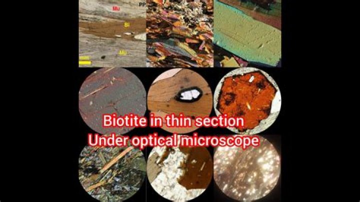 Does biotite have pleochroism?