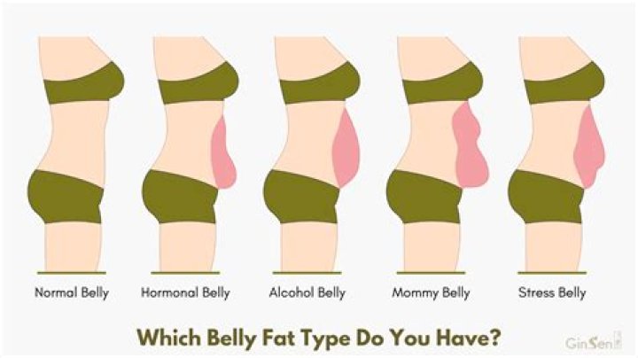 Does bread make you gain belly fat