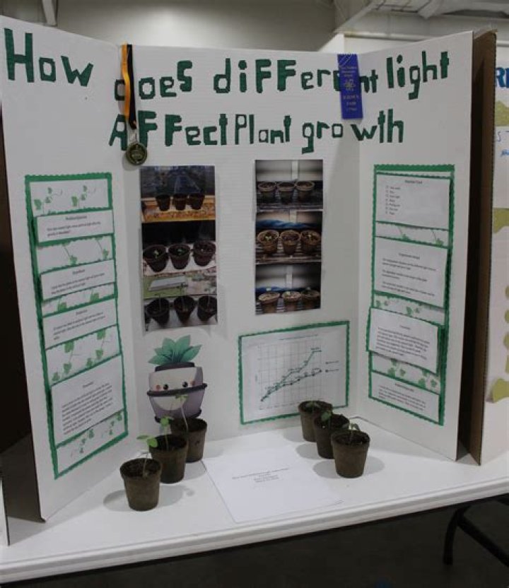 Does caffeine affect plant growth science fair project
