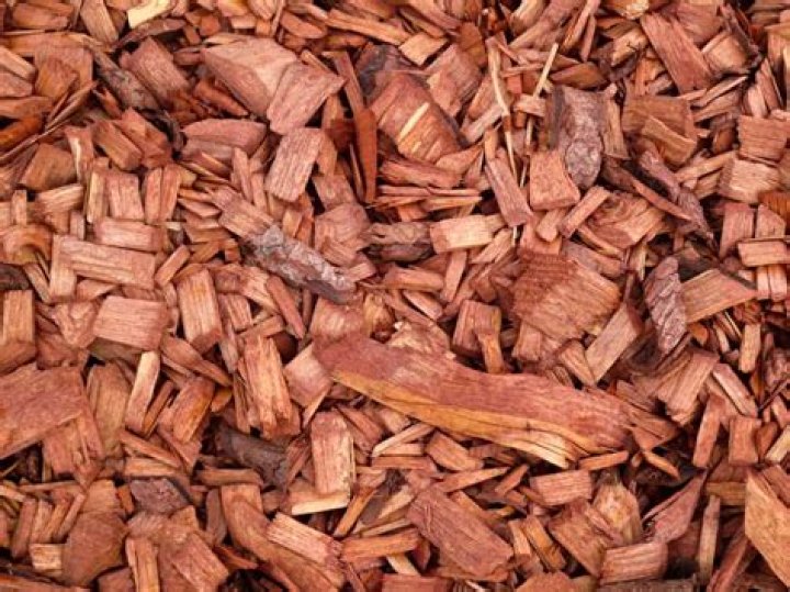 Does cedar mulch repel mice