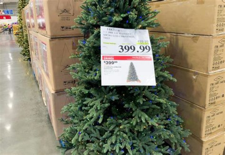 Does Costco sell real Christmas trees
