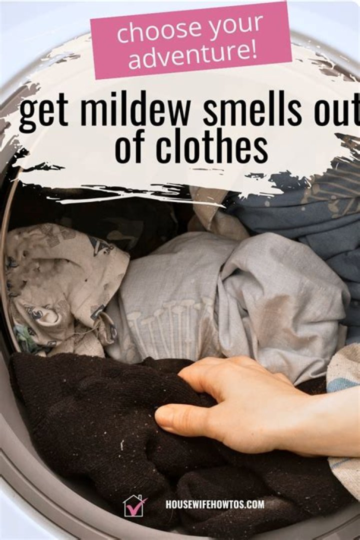 Does vinegar get rid of mildew smell in clothes
