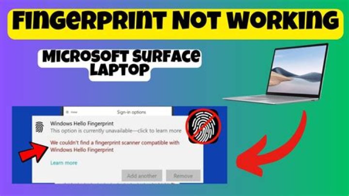 Does Windows 8 support fingerprint?