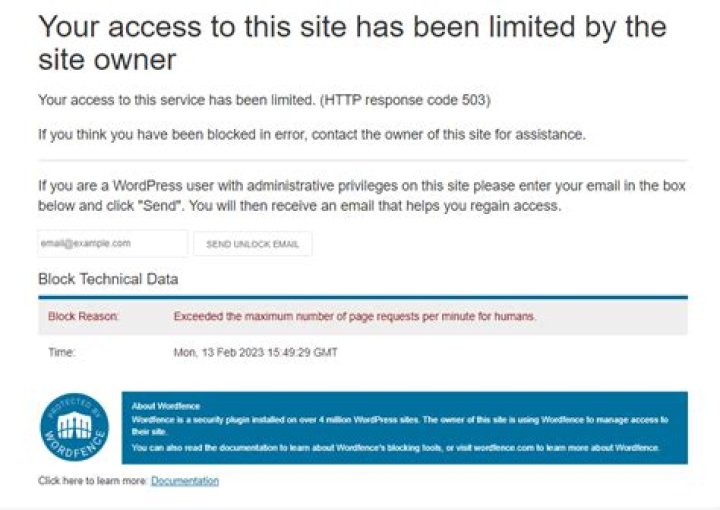Does WordPress have DDoS protection?
