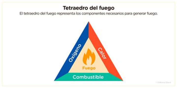 ¿Dónde se origina el naturalismo