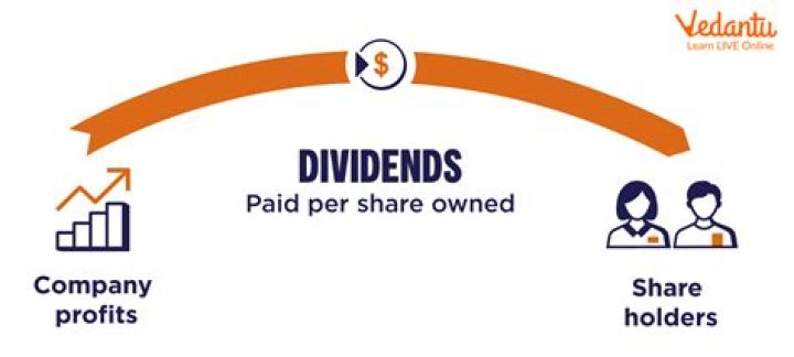 How are dividends paid to shareholders?
