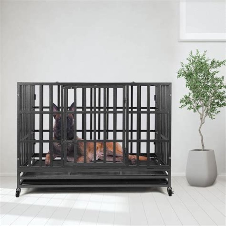 How big is an extra large dog crate