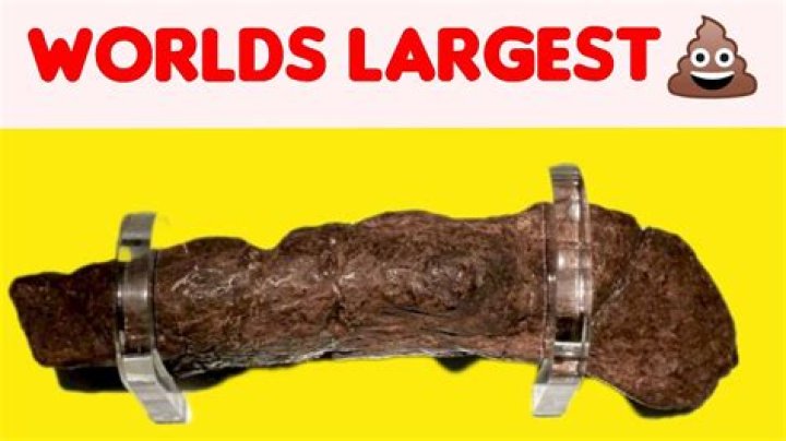 How big is the biggest poop in the world?
