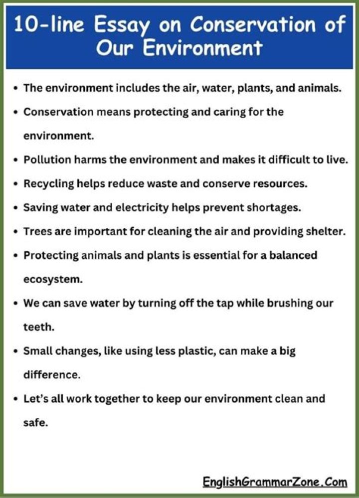 How can we clean our environment essay?