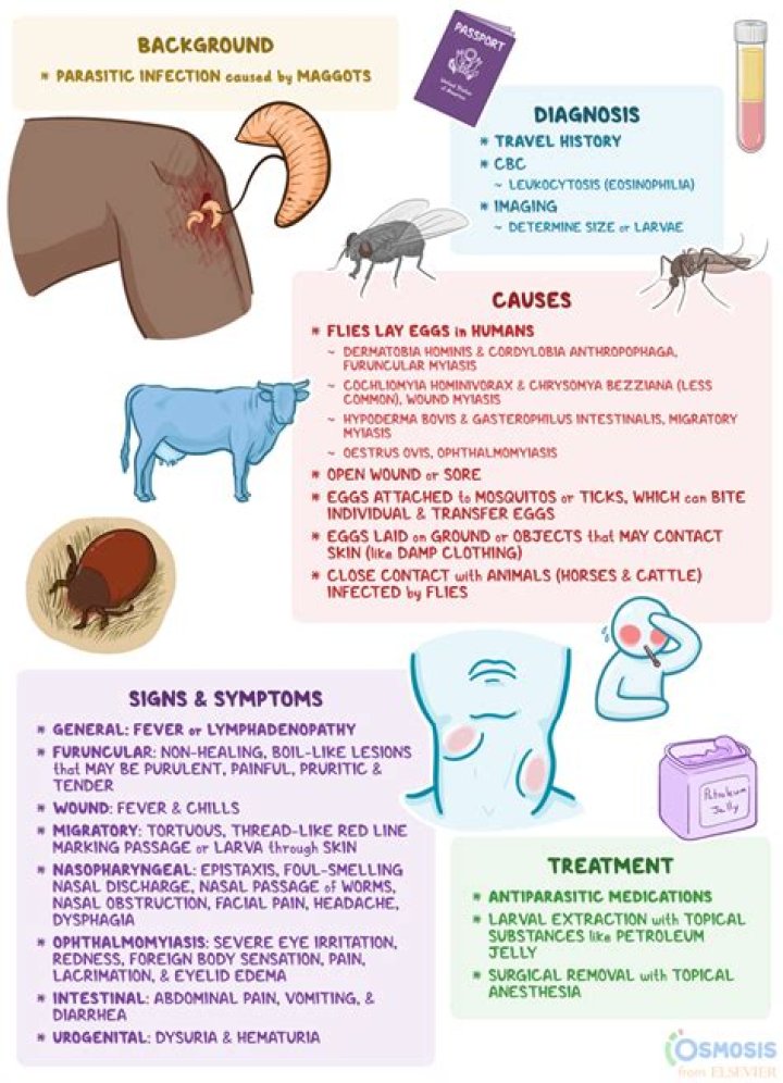 How common is hairy back?