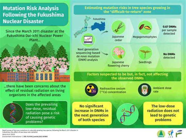 How did Fukushima affect Canada?