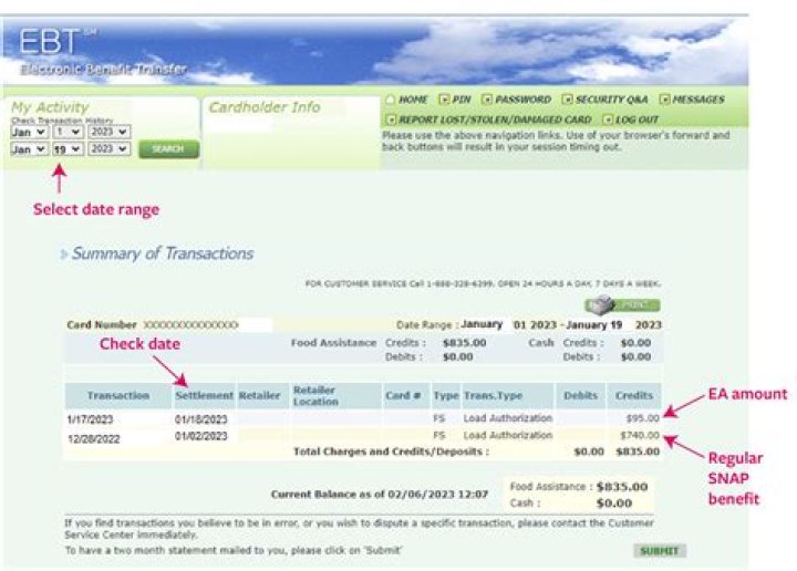 How do I find my HeidiSQL password?