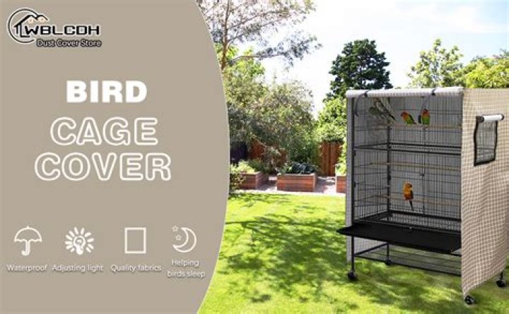 How do I keep my bird cage warm