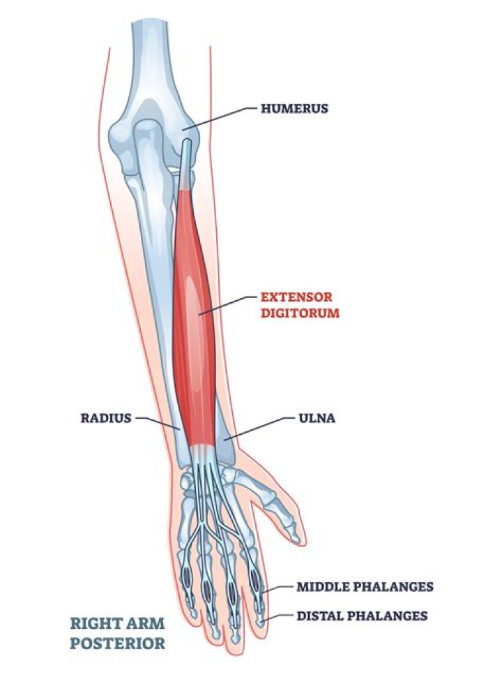 How do I make my behind bigger?