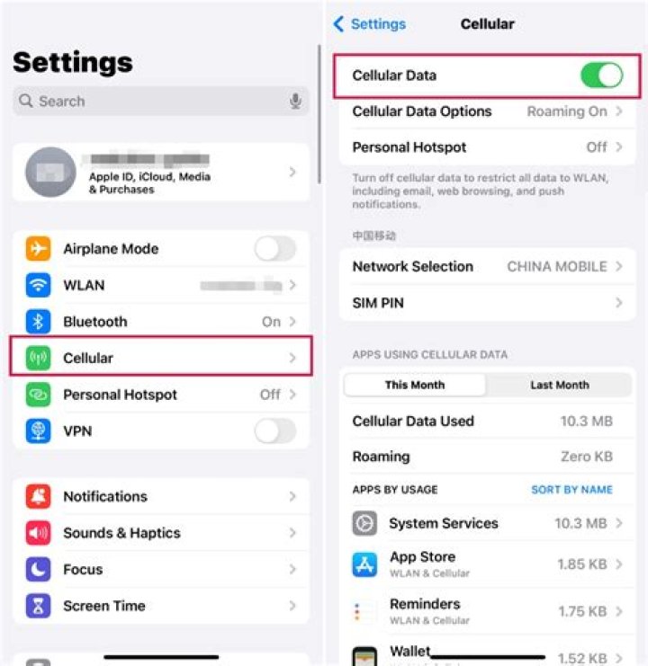 How do I reduce the other category on my iPhone?