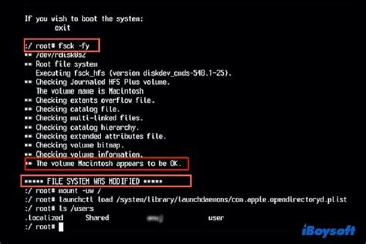 How do I run fsck on mounted file system?
