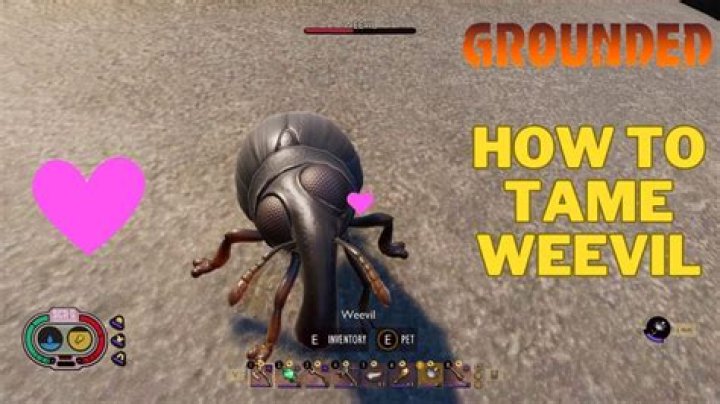 How do you beat Weevil Underwood?