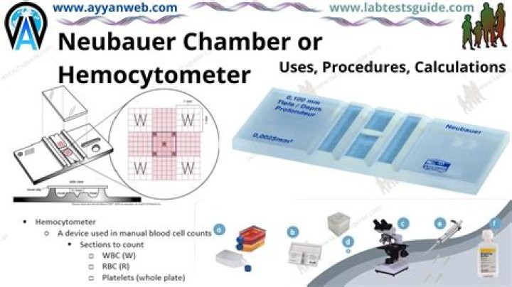 How do you calculate Hemocytometer?