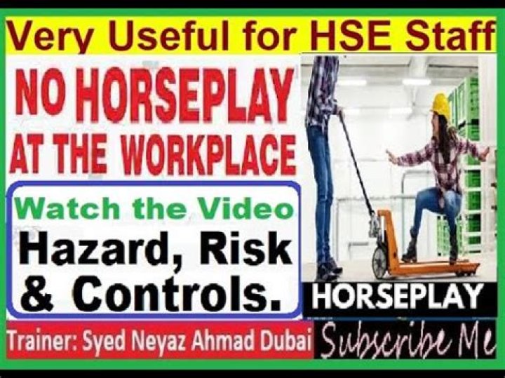 How do you explain horseplay?