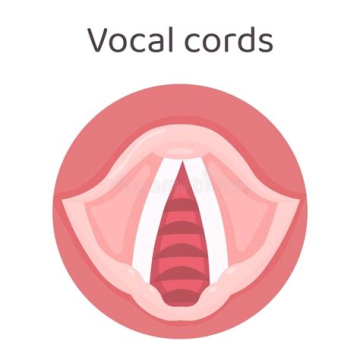 How do you get the second set of vocal cords?