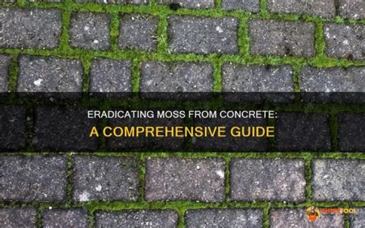 How do you increase moss growth on concrete