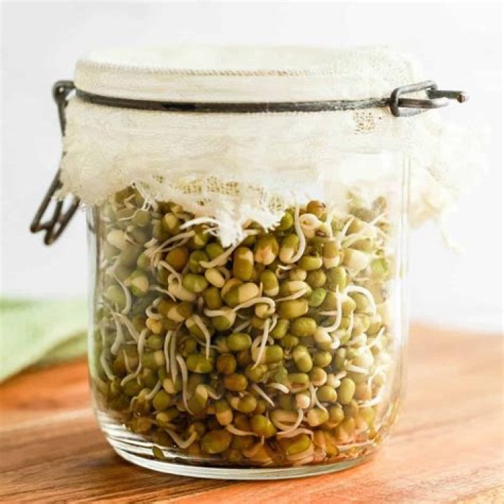 How do you keep mung bean sprouts fresh