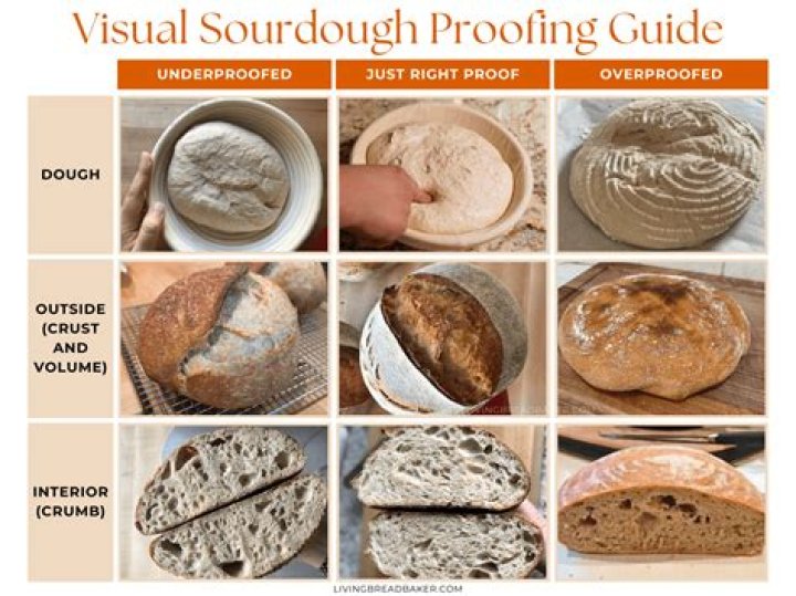 How do you know when bread dough is kneaded enough