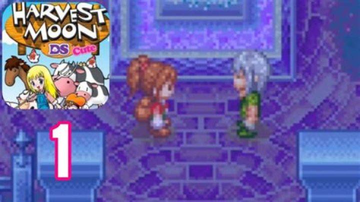 How do you marry Muffy in Harvest Moon DS?