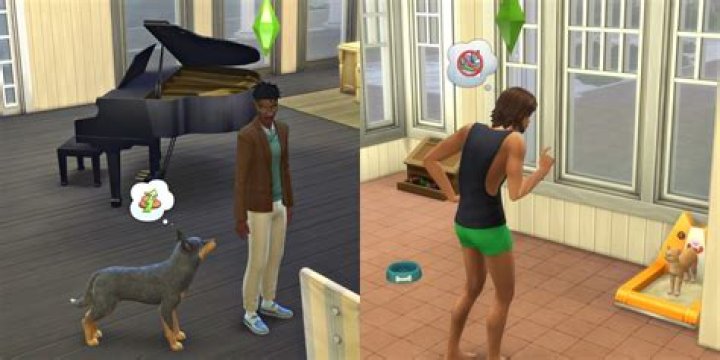How do you train pets on Sims 2?