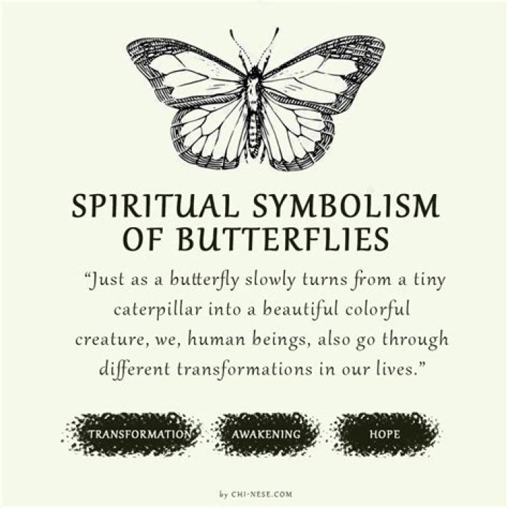 How do you type a butterfly symbol?
