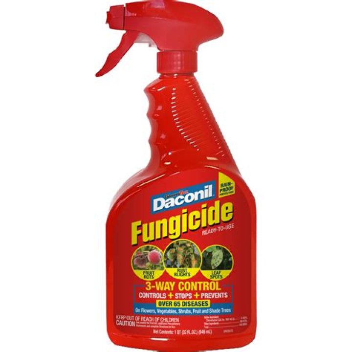How do you use fungicide spray?