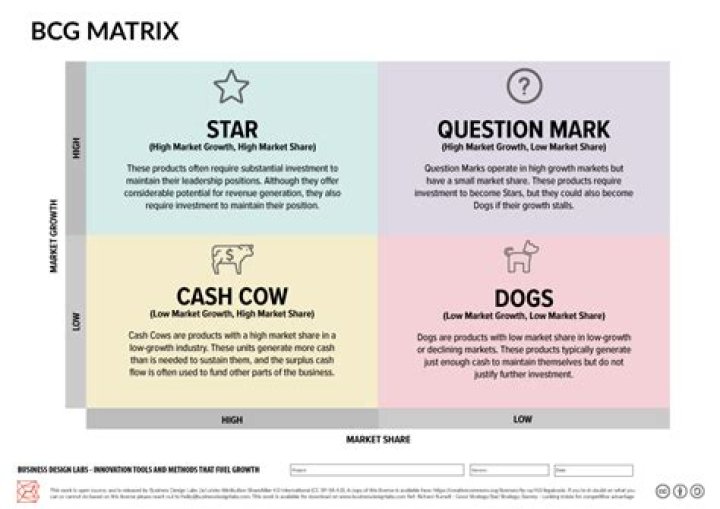How do you use the BCG matrix