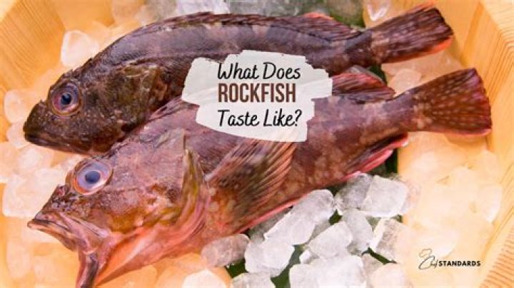 How healthy is rockfish?