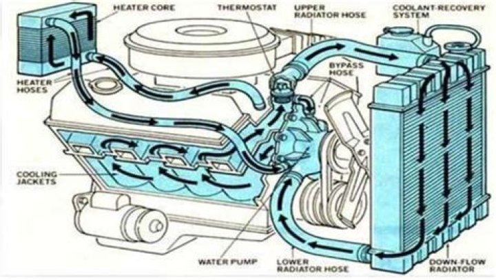 How long are the water pump bolts on a small block Chevy?